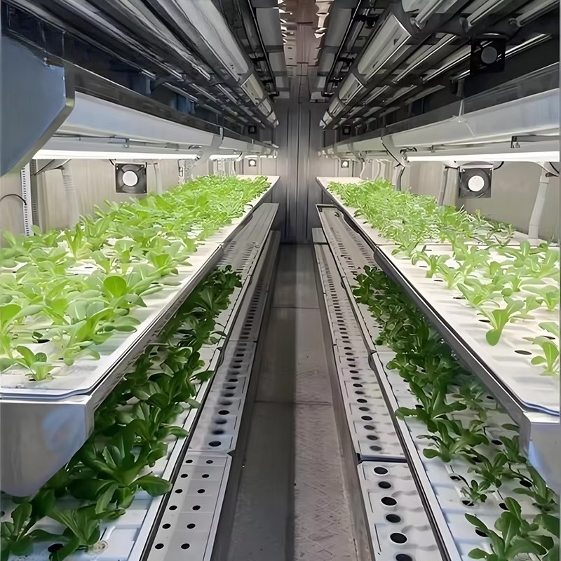 Smart Planting Container Verti - đánh giá và giá Urban Farming Hydroponics