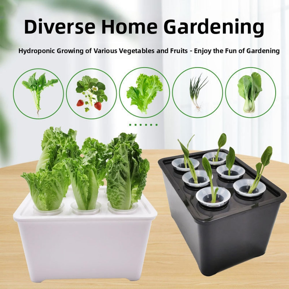 White black Plant Growth Bucke - đánh giá và giá Urban Farming Is