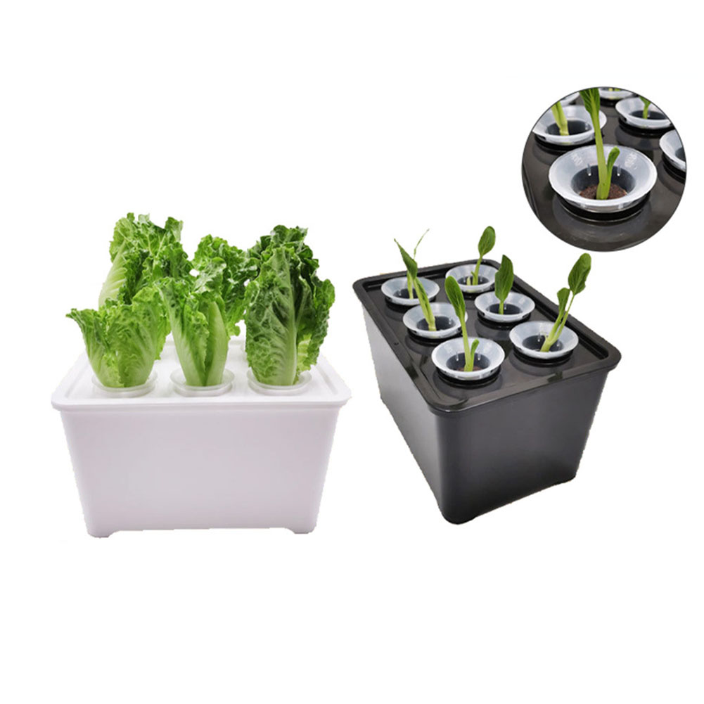White black Plant Growth Bucke - đánh giá và giá Urban Farming Is