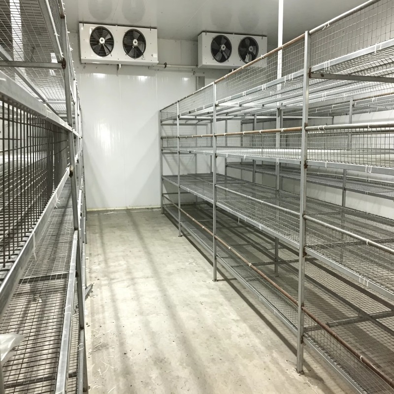Hydroponic Container Farm with - đánh giá và giá Urban Farming Hydroponics
