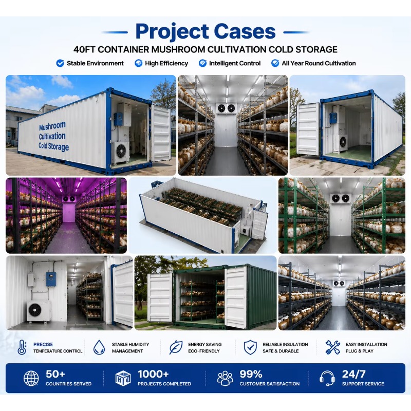 Hydroponic Container Farm with - đánh giá và giá Urban Farming Hydroponics